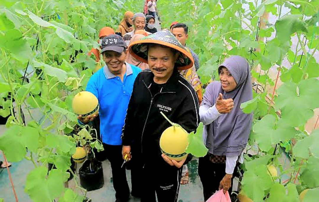 Wali Kota Madiun Dr. Maidi petik melon bersama warga di Ngowo Bening Edu Park.