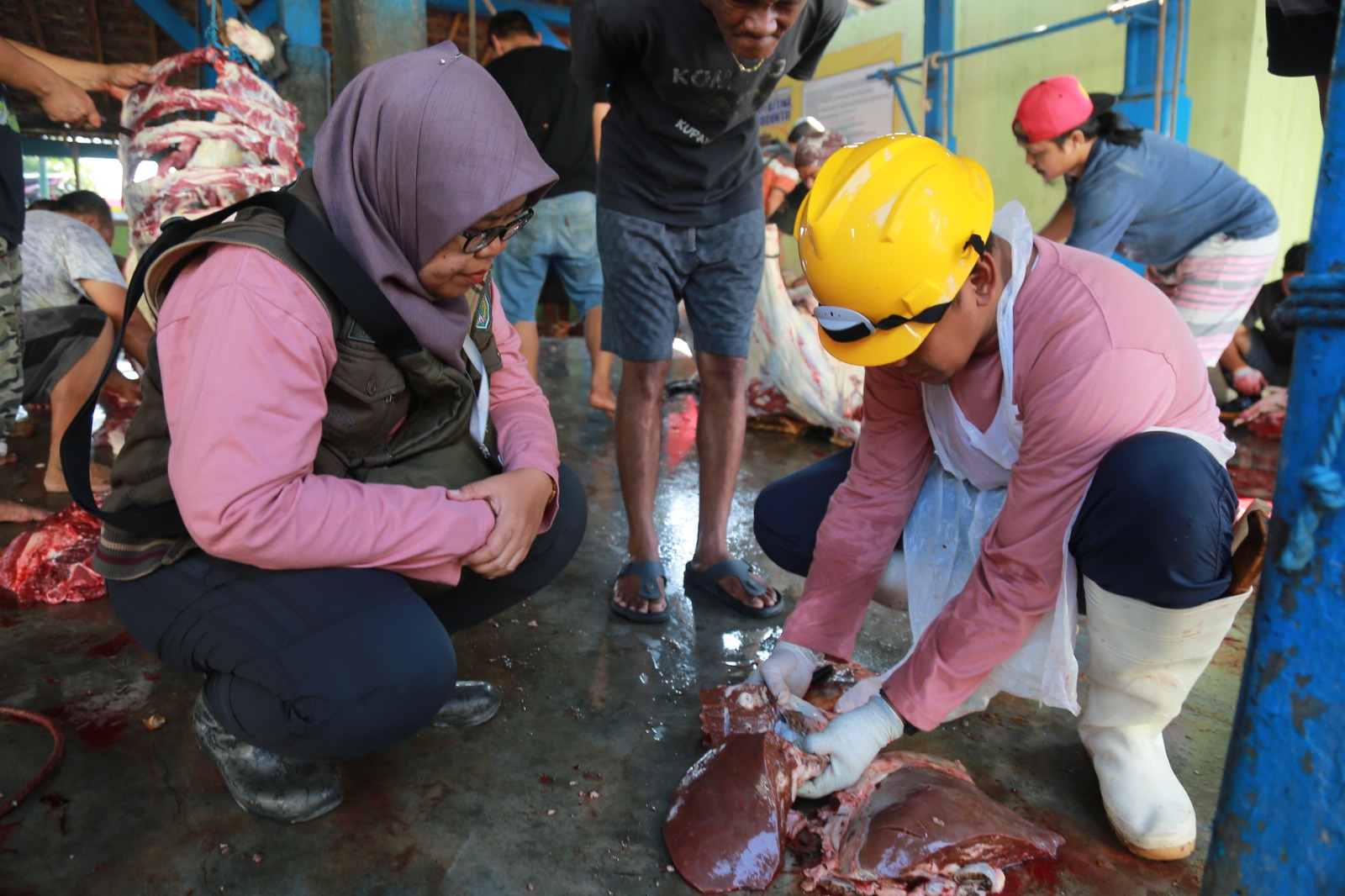 Petugas DKPP Kota Madiun temukan tiga sapi kurban tidak layak konsumsi saat postmortem di RPH. FOTO: BAGAS BIMANTARA/RADAR MADIUN
