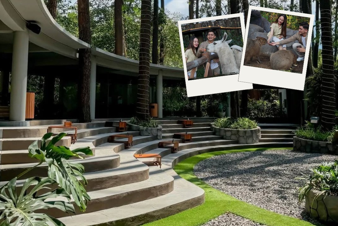 Pinewood Bistro di Taman Safari Prigen, kafe estetik yang dilengkapi mini zoo.