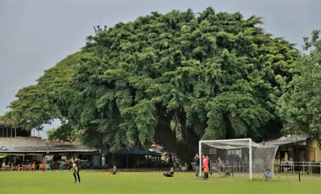 Nikmati jogging, kuliner, dan quality time di Taman Gulun Madiun.