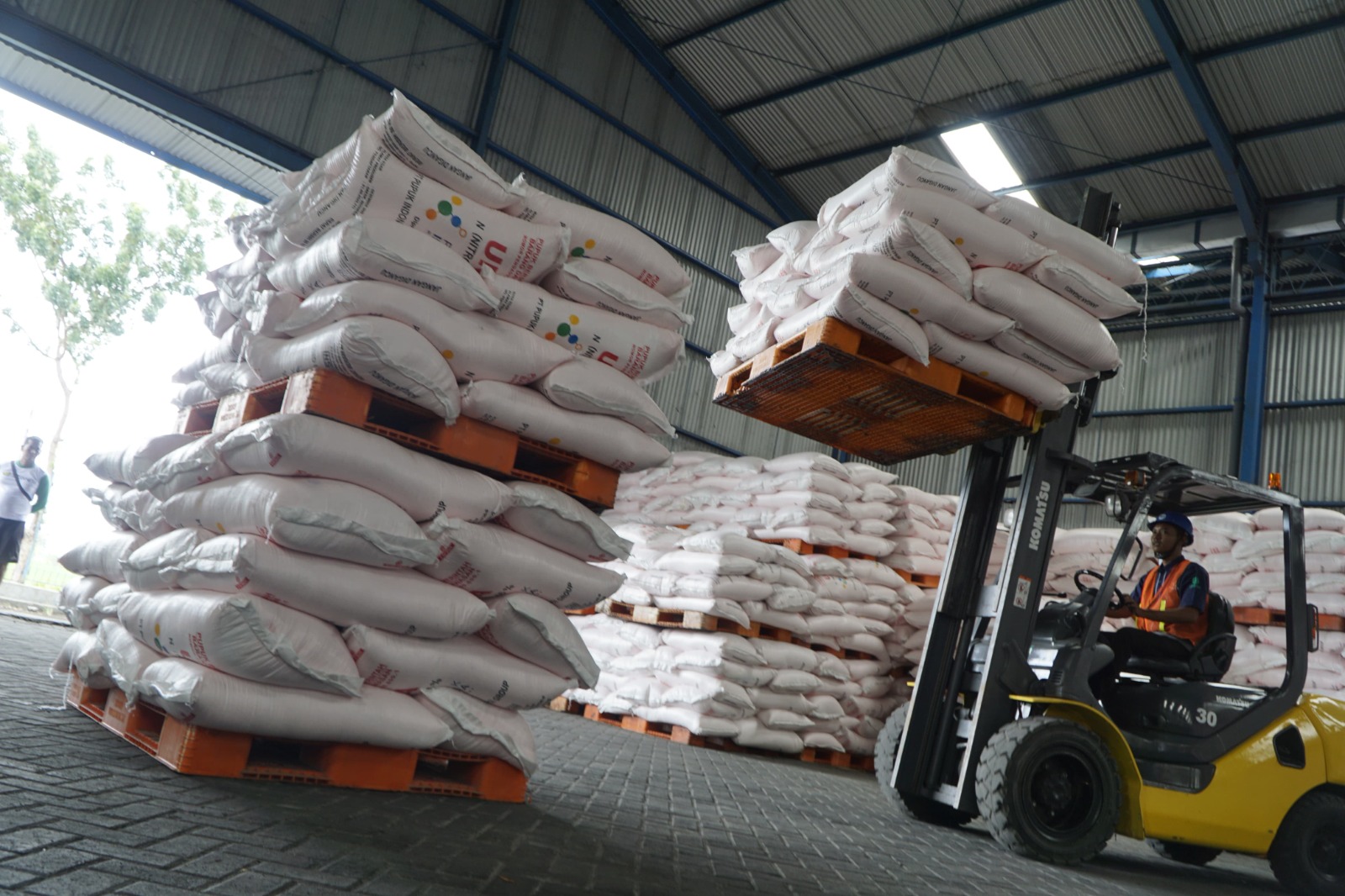 Petani Pacitan belum banyak menebus pupuk subsidi. DKPP siapkan evaluasi e-RDKK dan penyesuaian regulasi. DOK RADAR MADIUN