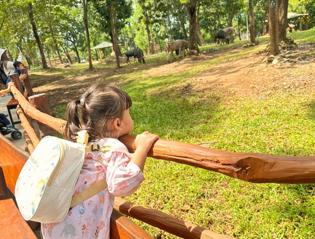 Solo Zoo, destinasi wisata edukatif dan ramah keluarga di Solo.