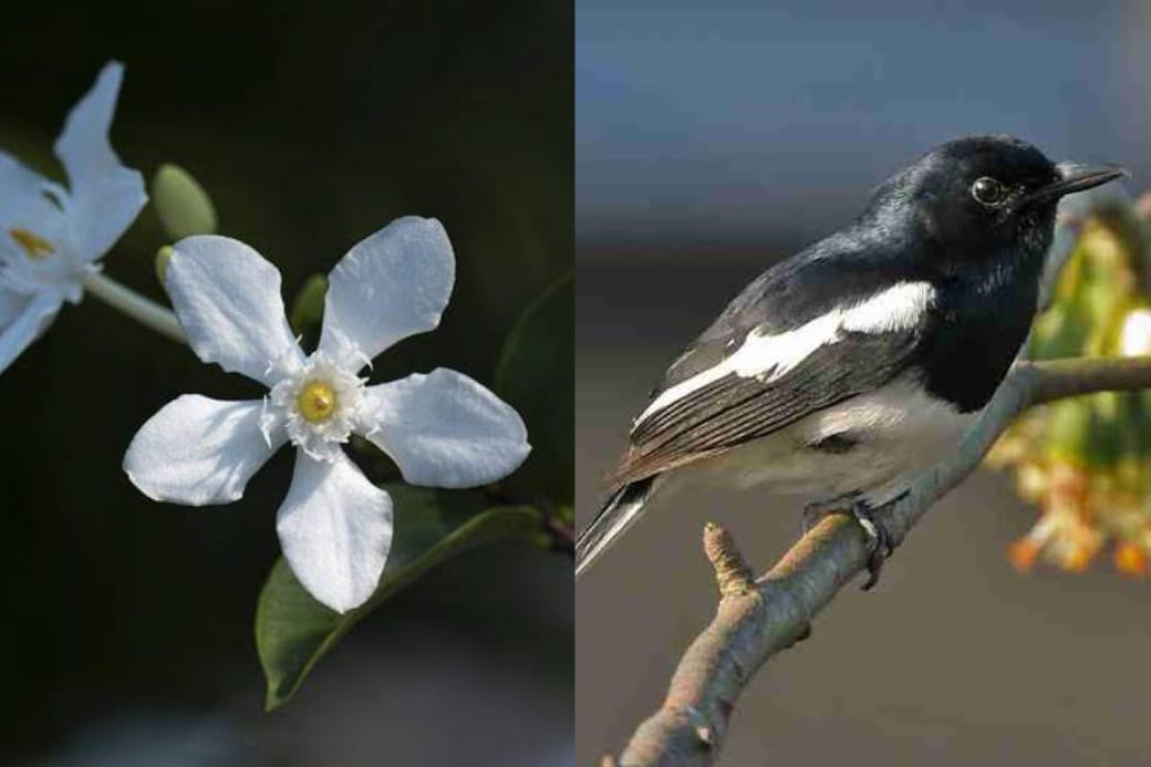 Flora dan fauna khas Pemalang.
