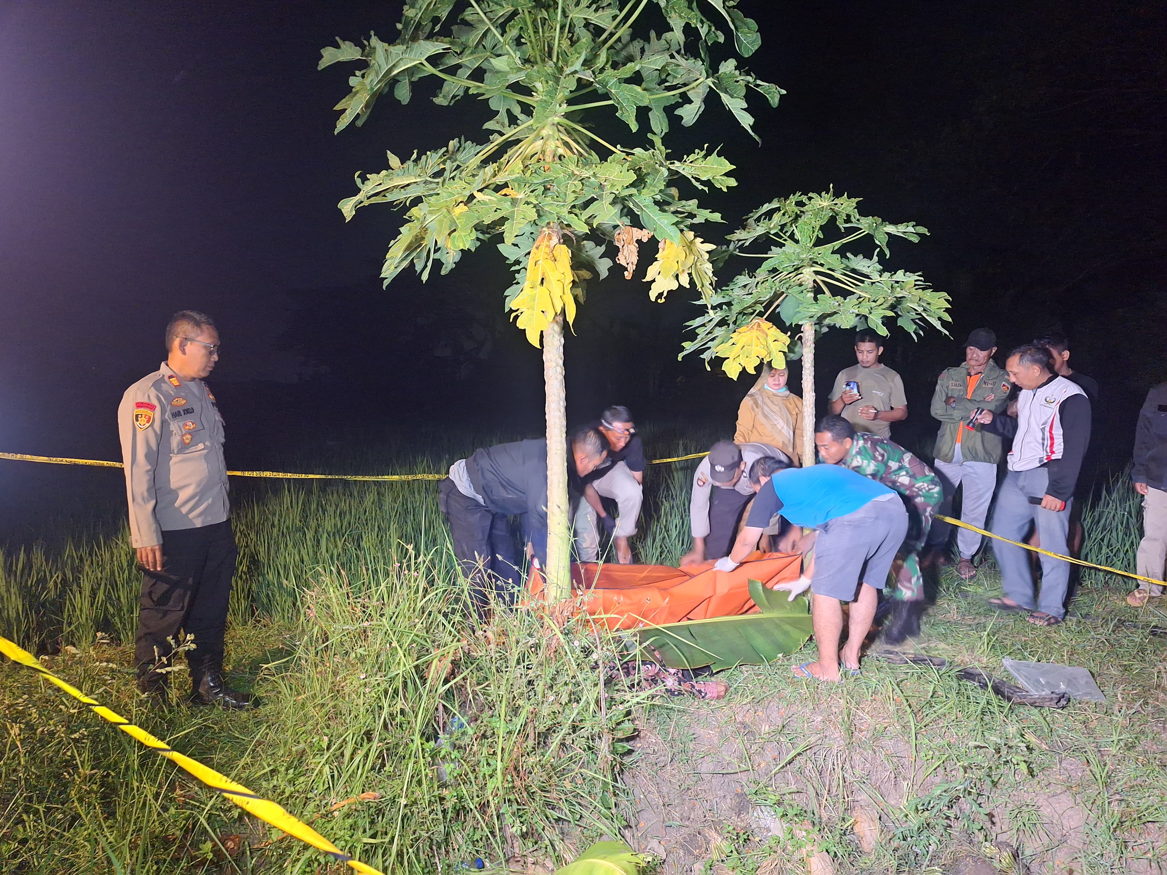 Petugas kepolisian saat mengevakuasi jenazah kakek yang ditemukan meninggal di area persawahan Desa Baluk, Karangrejo. FOTO: APRILITA SARI/JAWA POS RADAR MAGETAN