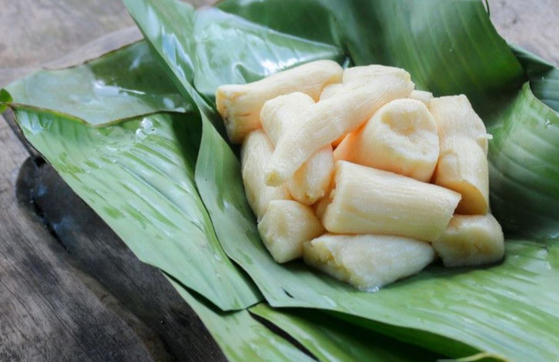 Tape singkong tradisional.