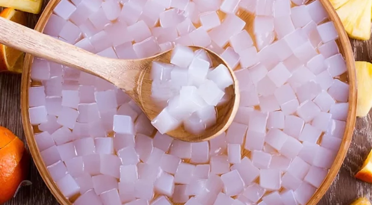 Ilustrasi nata de coco.