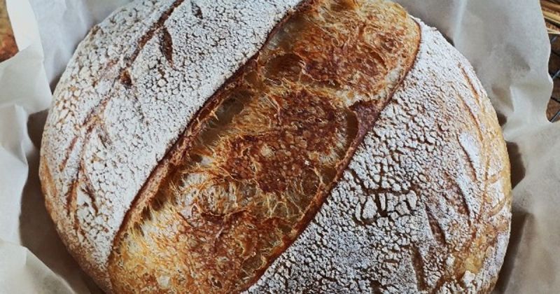 Ilustrasi roti sourdough yang mudah dibikin di rumah.