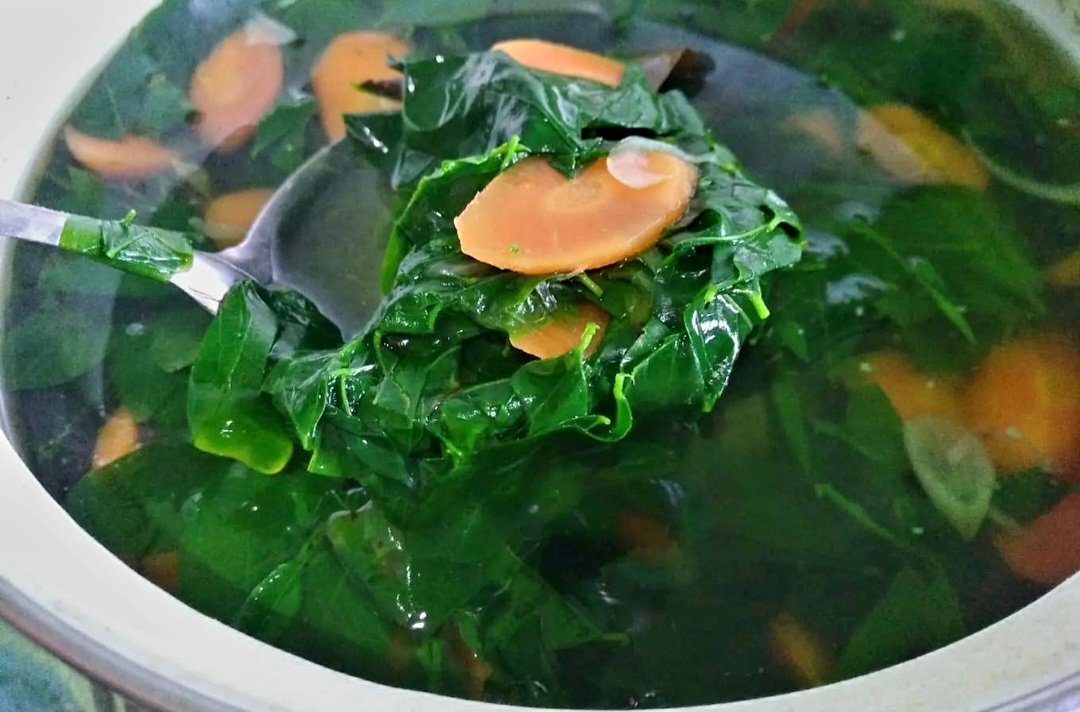 Sayur bening segar daun Katuk yang cocok untuk ibu dan keluarga.