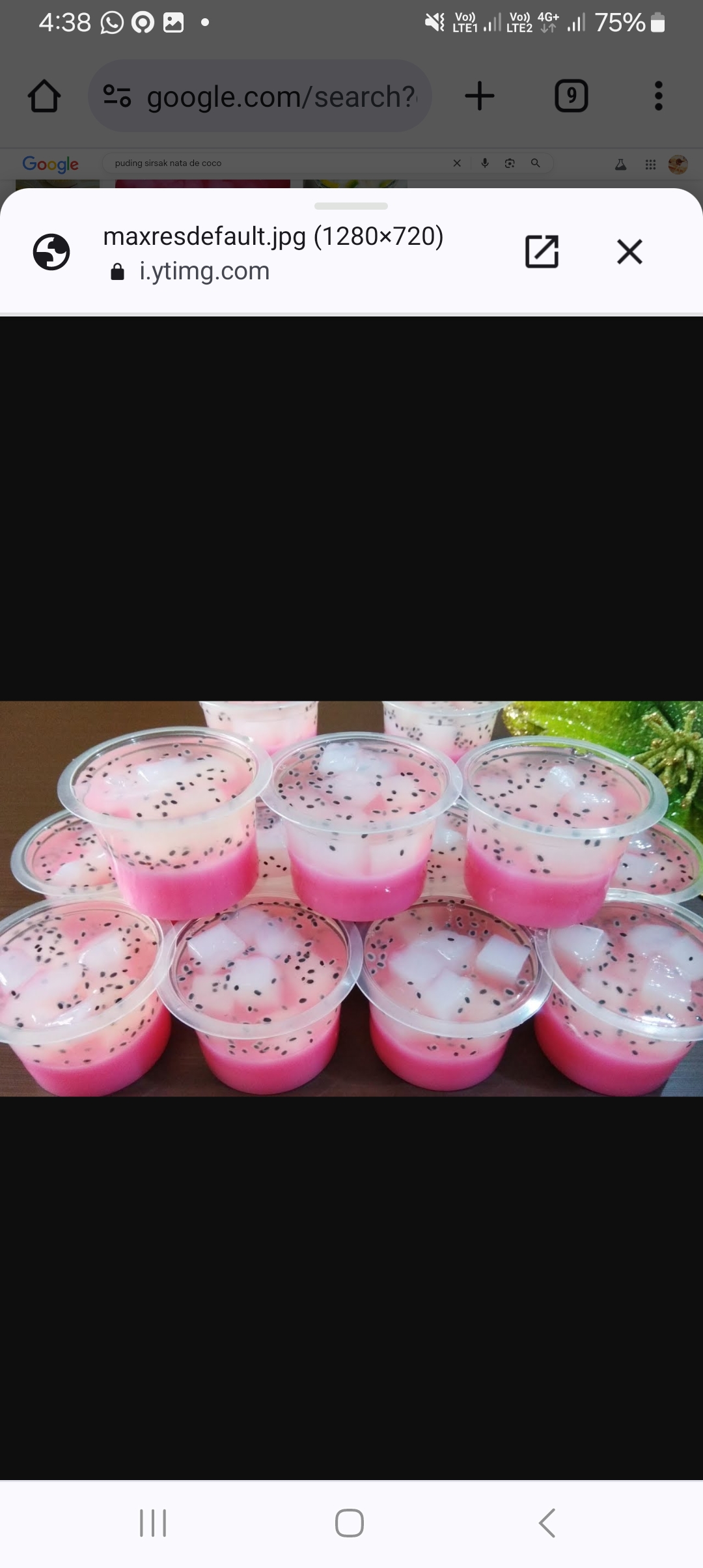 Ilustrasi puding sirsak nata de coco yang segar.