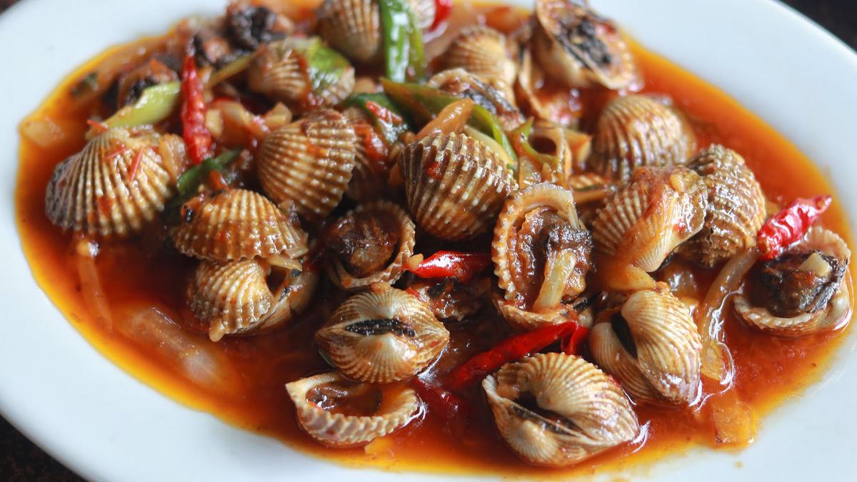 Ilustrasi Kerang Dara Saus Padang