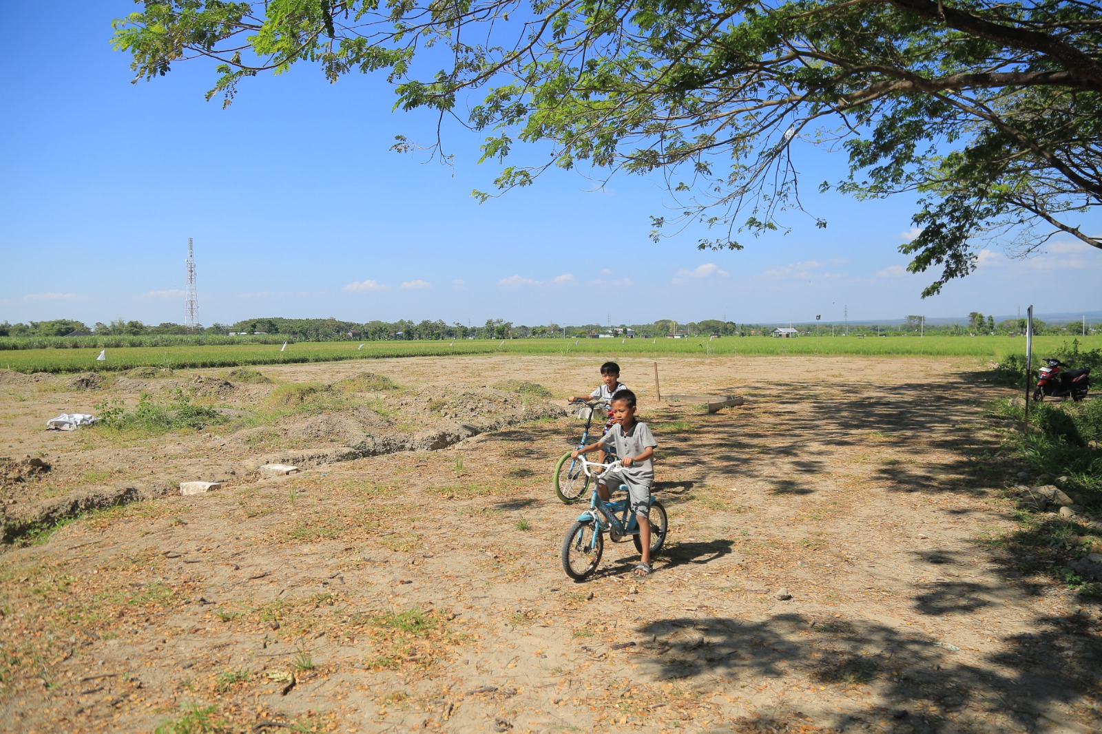 Lahan dua hektare lebih disiapkan untuk proyek Kampung Korea di Kanigoro, Madiun, sebagai kawasan pertanian edukatif dan wisata. BAGAS BIMANTARA/RADAR MADIUN