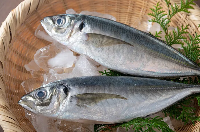 Ilustrasi Ikan