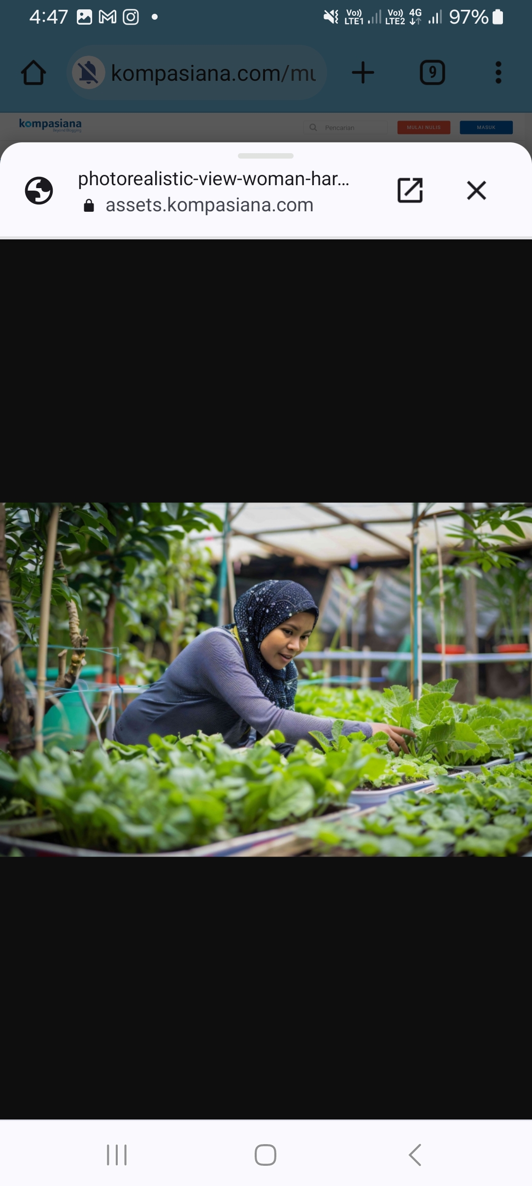 Ilustrasi urban farming di lahan sempit rumah.