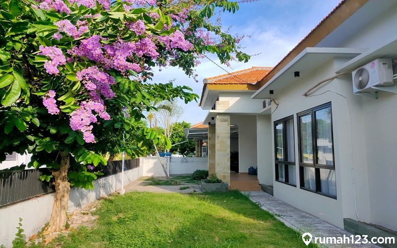 Ilustrasi pohon tabebuya peneduh rumah.