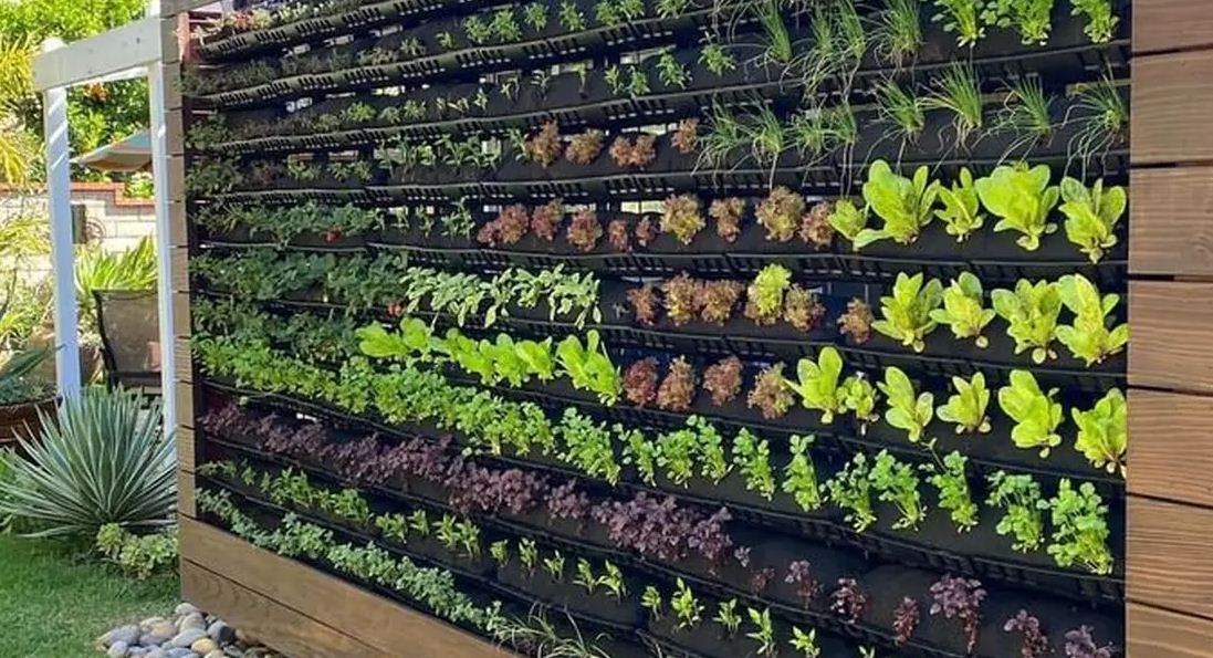 Ilustrasi membuat vertical garden yang hemat tempat.