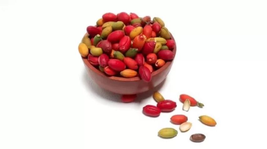 Ilustrasi manfaat kulit melinjo.