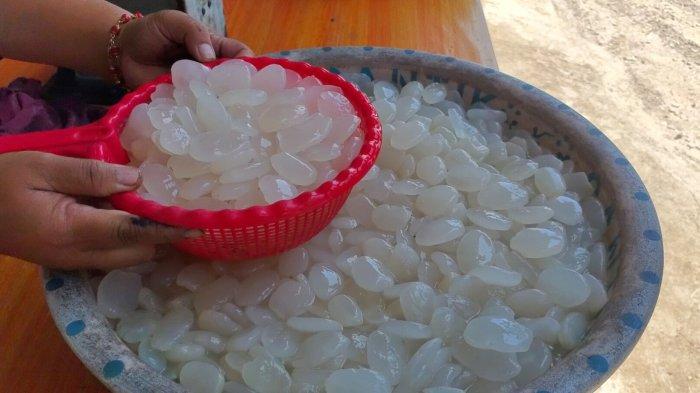 Ilustrasi mengolah kolang kaling agar tidak berlendir.