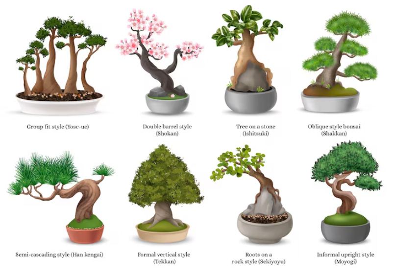 Ilustrasi gaya bonsai Jepang.