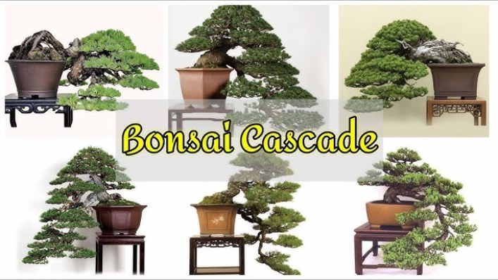 Ilustrasi bonsai cascade gaya air terjun.