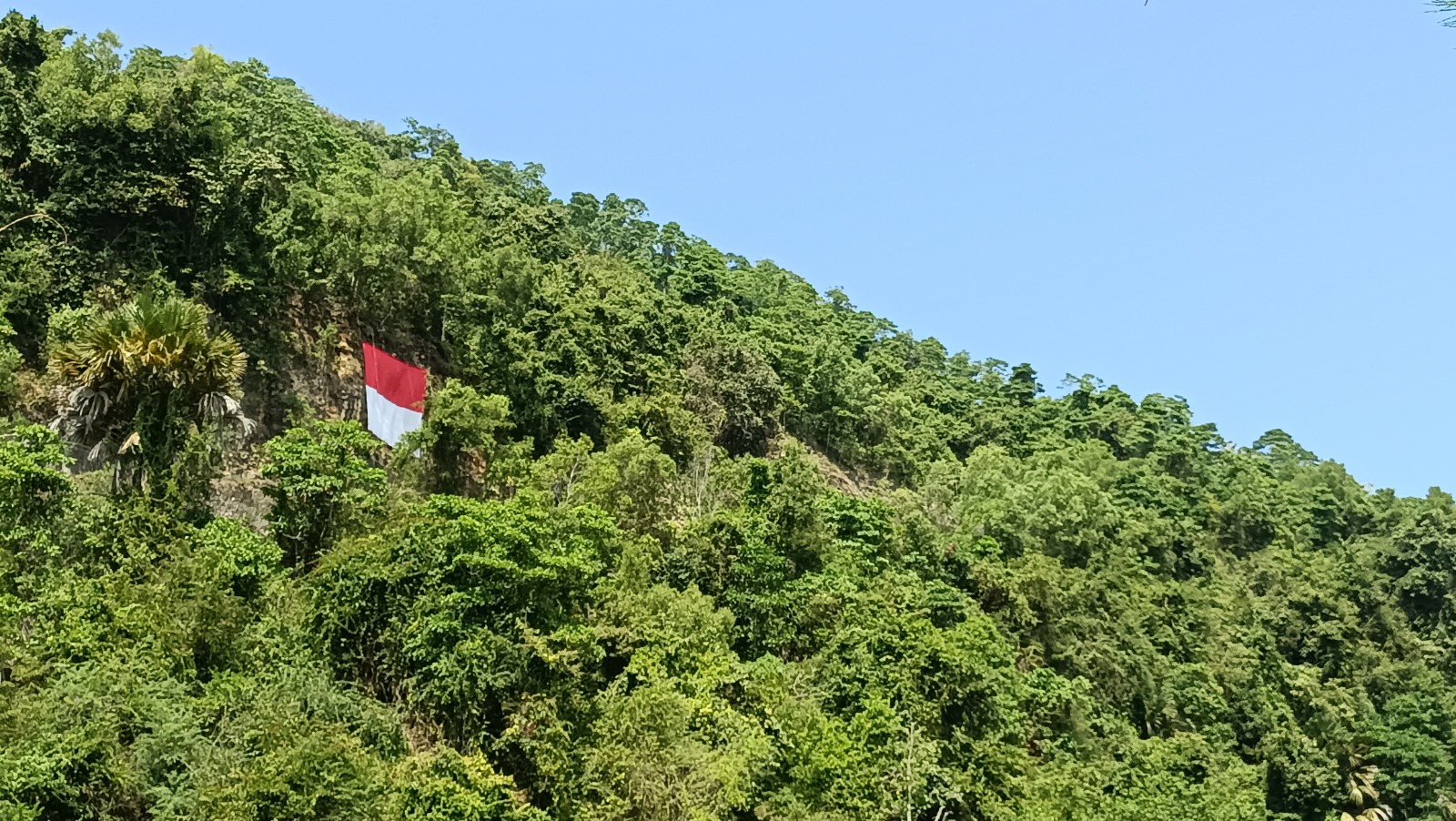 Bendera Merah Putih raksasa berukuran 20 x 15 meter berkibar gagah di puncak Bukit Gelon, Desa Kembang, Minggu (17/8). NUR CAHYONO/RADAR PACITAN