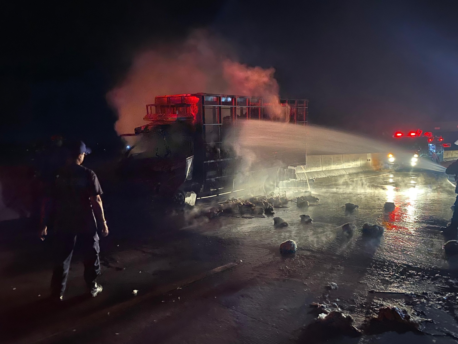 Petugas Damkar Ngawi memadamkan api truk pengangkut ayam potong yang terbakar di Tol Solo&ndash;Ngawi. FOTO: ISTIMEWA