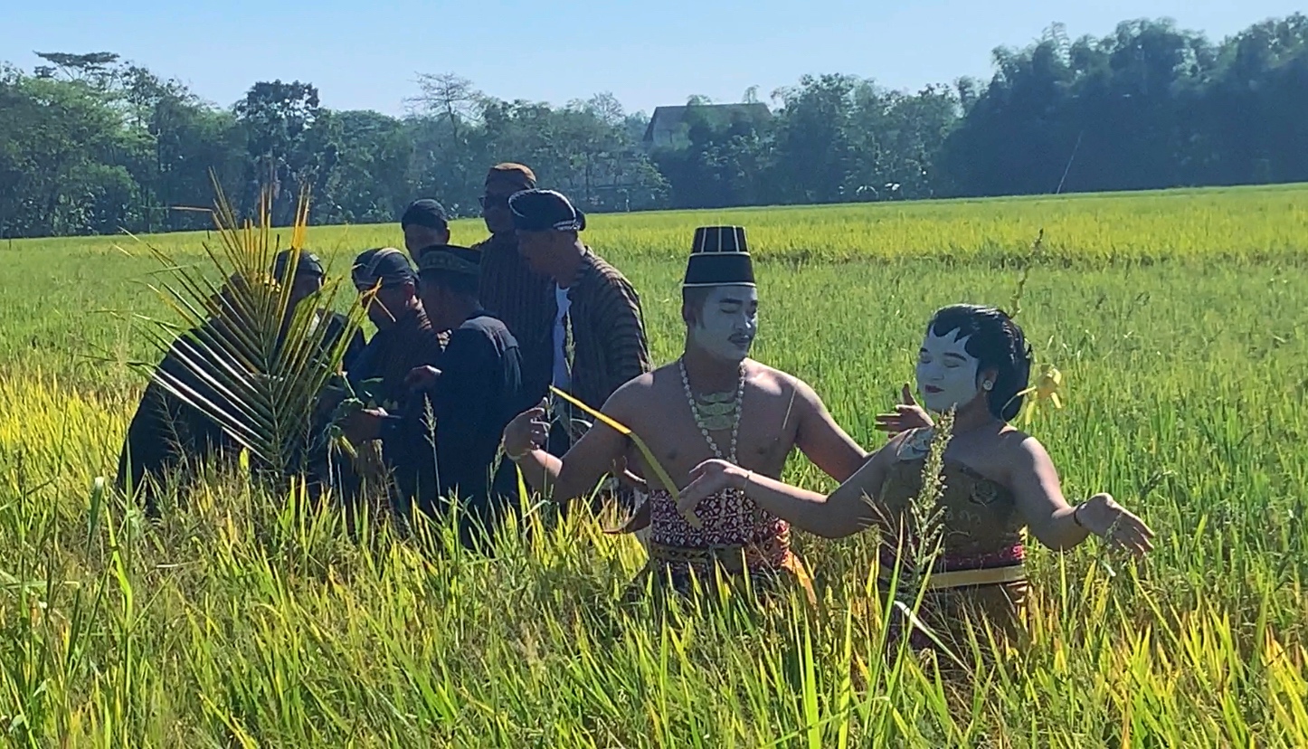 Tradisi methik pari di Desa Glinggang, Ponorogo, jadi wujud syukur petani atas hasil panen berlimpah dan bebas hama wereng. SUGENG DWI N/RADAR PONOROGO