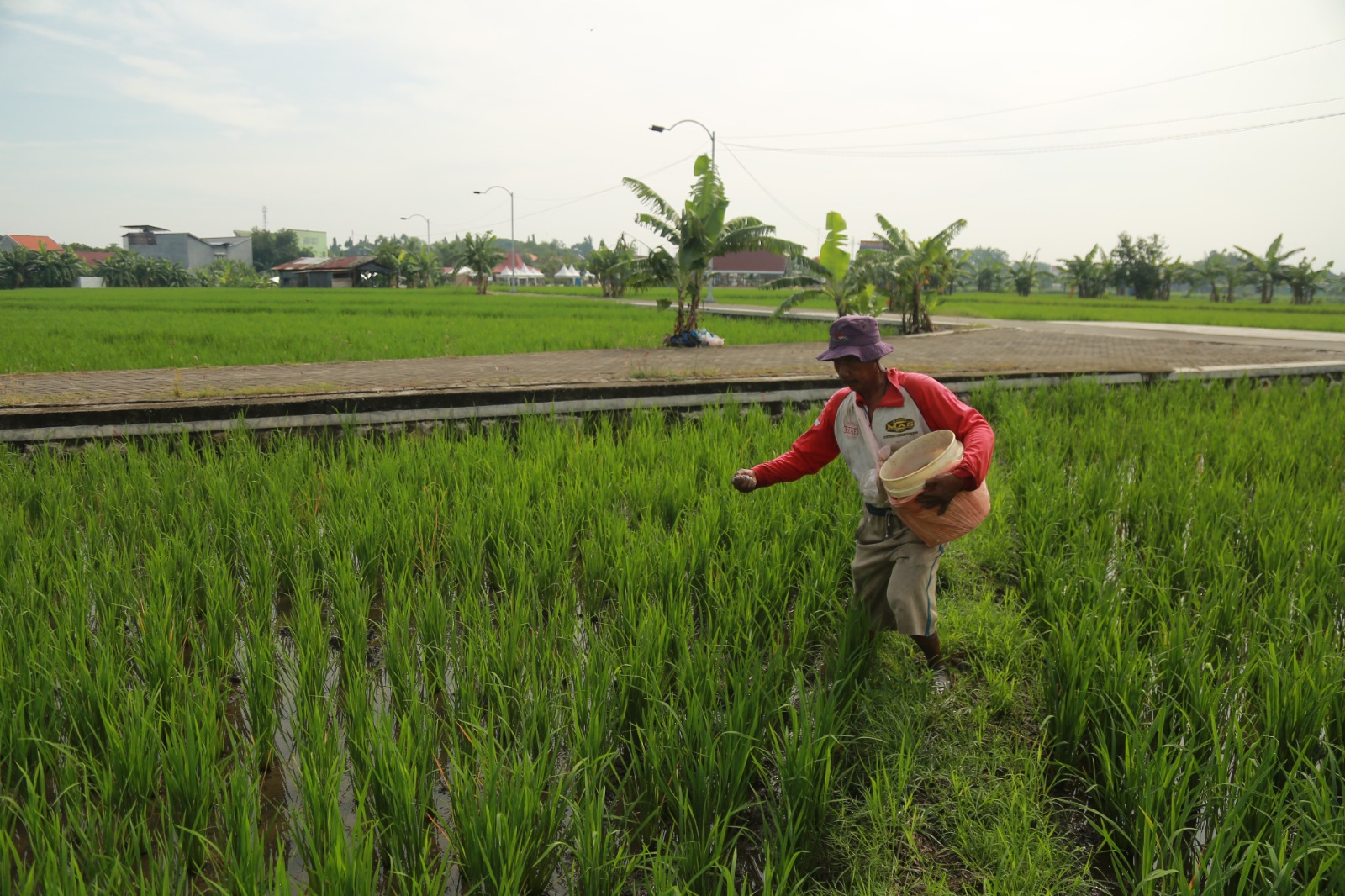 Pemkot Madiun menambah alokasi pupuk subsidi dari DBHCHT untuk 1.225 petani agar kebutuhan pupuk lebih terjamin. BAGAS BIMANTARA/RADAR MADIUN