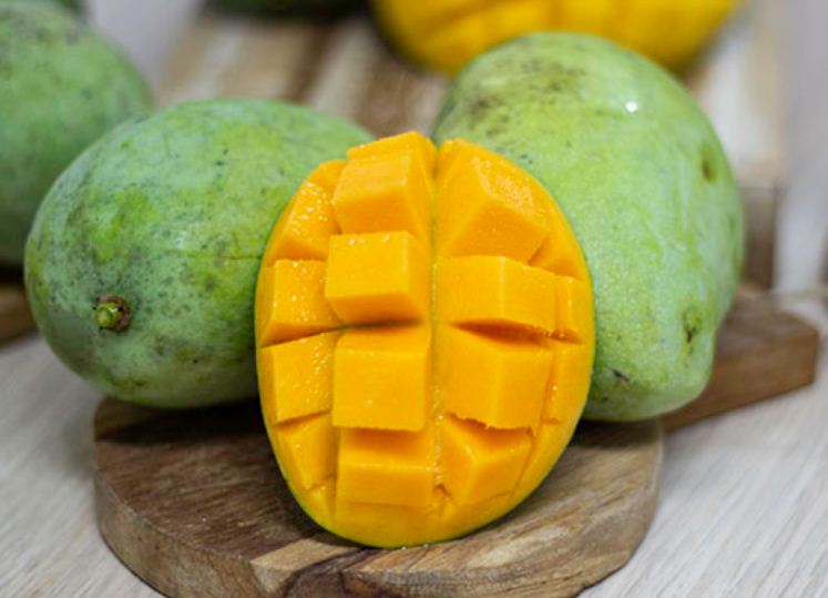 Ilustrasi perbedaan mangga manalagi dan madu.