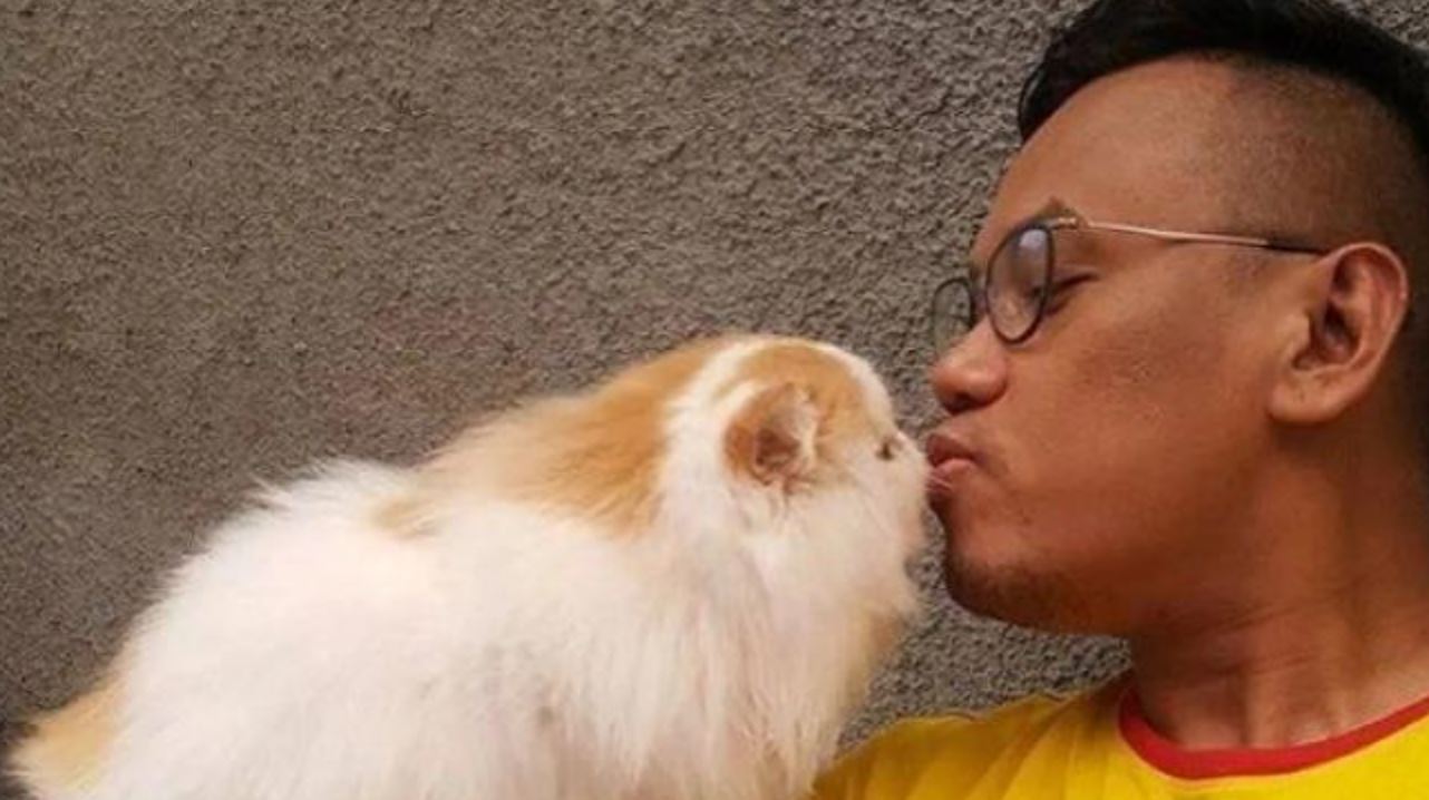 Salah satu kucing yang dijarah dari rumah Uya Kuya.