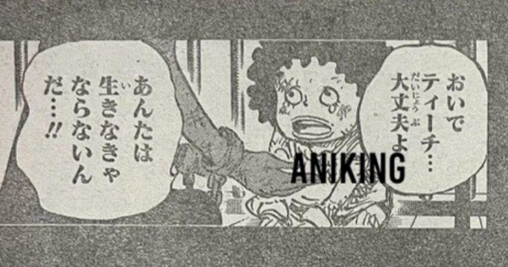 Teach dan ibunya jadi budak perburuan di baca komik One Piece 1159 RAW.