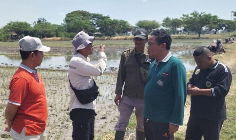 Tim konsultan DPUPR Jatim didampingi Dikbud, Dinsos, dan perwakilan Kelurahan Nglames memeriksa lahan calon Sekolah Rakyat. FOTO: ISTIMEWA