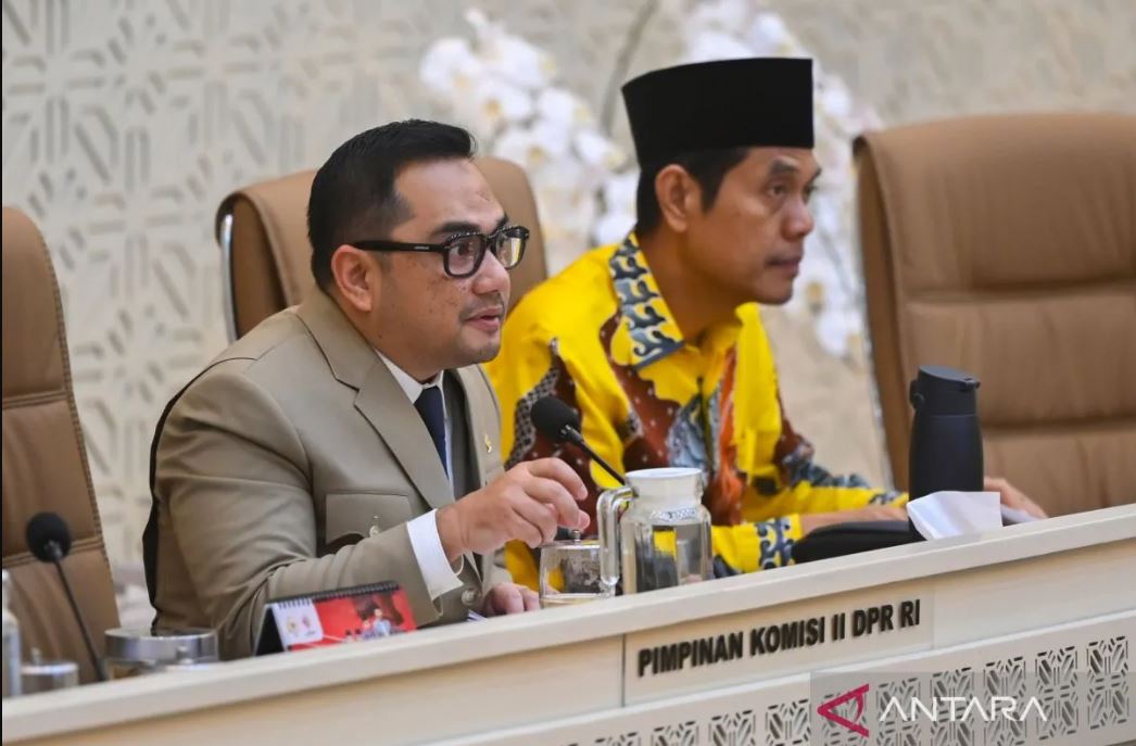 Rifqinizamy Karsayuda minta Mendagri hentikan efisiensi transfer daerah demi jaga ekonomi dan stabilitas politik di daerah.