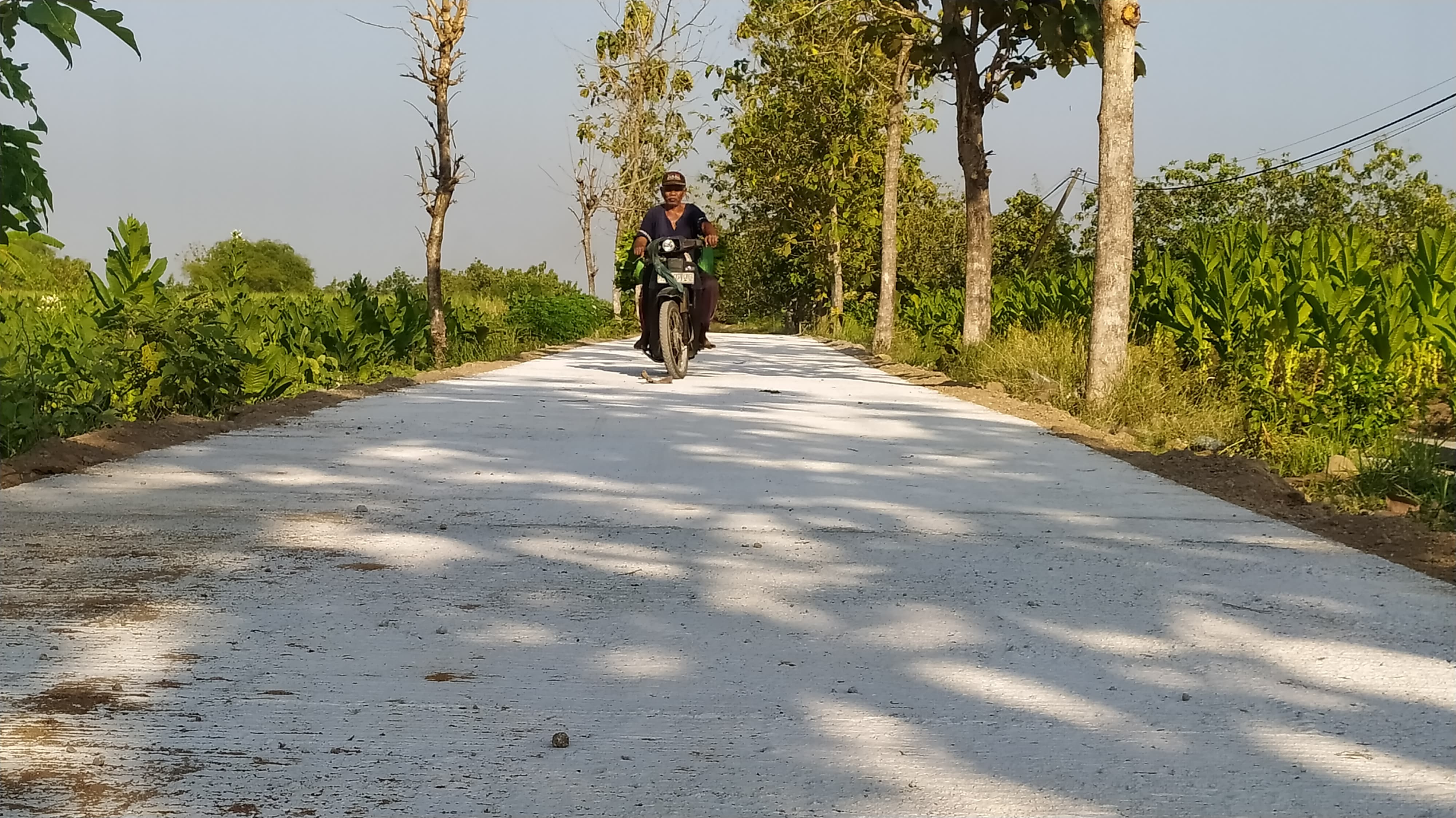DKPP Ngawi garap Jalan Produksi Pertanian. ASEP SYAEFUL/RADAR NGAWI