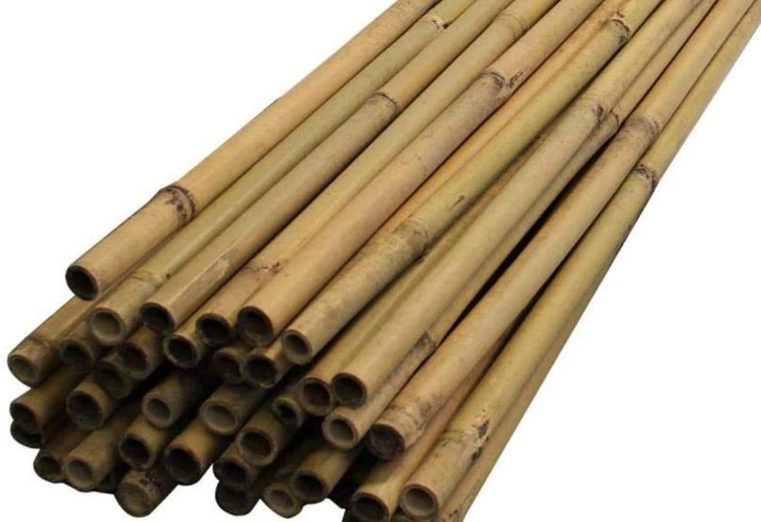 Dengan memilih bambu yang tepat seperti apus atau cendani, layangan akan lebih kuat, seimbang, dan mampu terbang lebih lama.