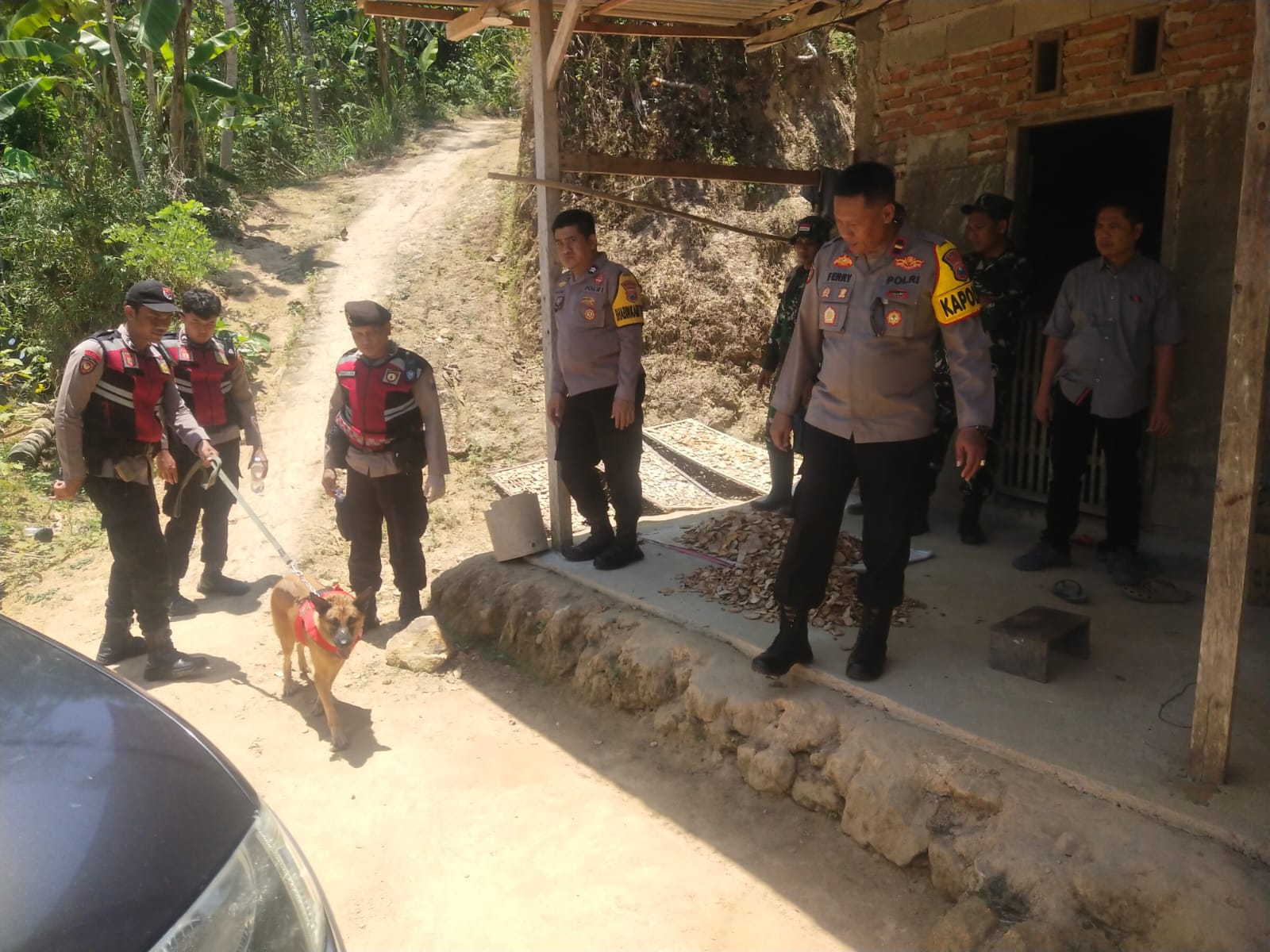 Polisi bersama anjing pelacak K9 menyusuri hutan Desa Temon, Arjosari, untuk mencari Wawan, pelaku pembacokan yang masih buron. NUR CAHYONO/RADAR PACITAN