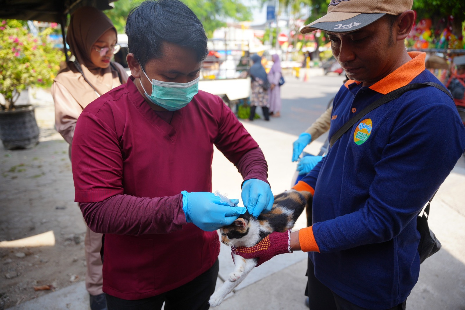 Petugas DKPP Kota Madiun memvaksin kucing liar di Pasar Sleko dalam rangka pencegahan rabies, Senin (29/9). DISKOMINFO/RADAR MADIUN