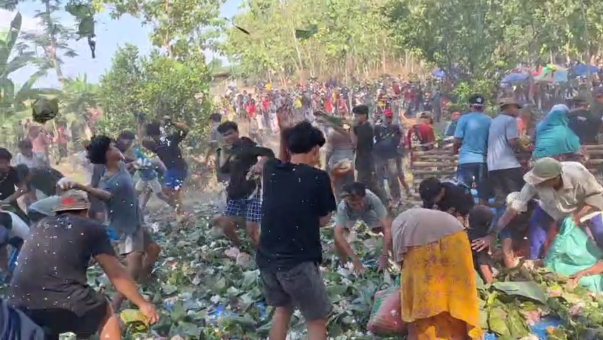 Warga Desa Pelang Lor, Kedunggalar, saling lempar nasi dalam tradisi perang nasi sebagai wujud syukur atas panen melimpah, Sabtu (27/9). ASEP SYAEFUL/RADAR NGAWI