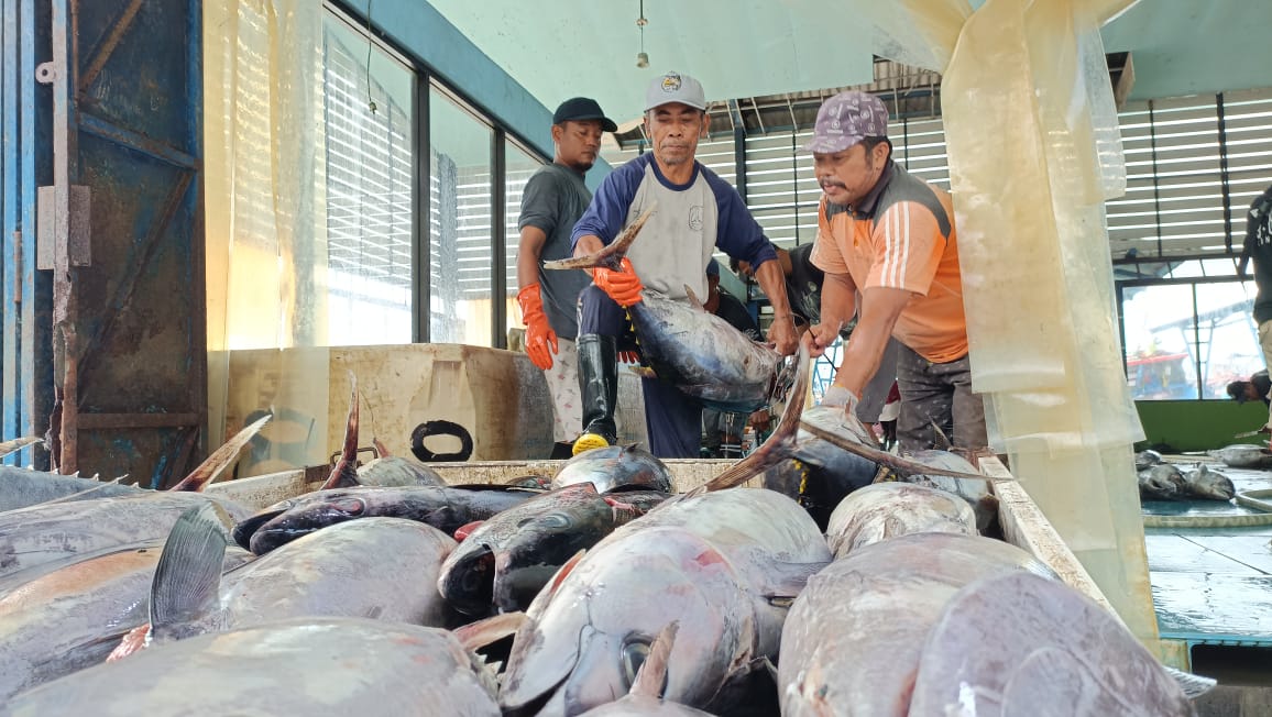 Para nelayan di Pacitan sedang beraktivitas menimbang ikan tangkapan. Pacitan diklaim tak masuk program kampung nelayan merah putih. DOK RADAR PACITAN