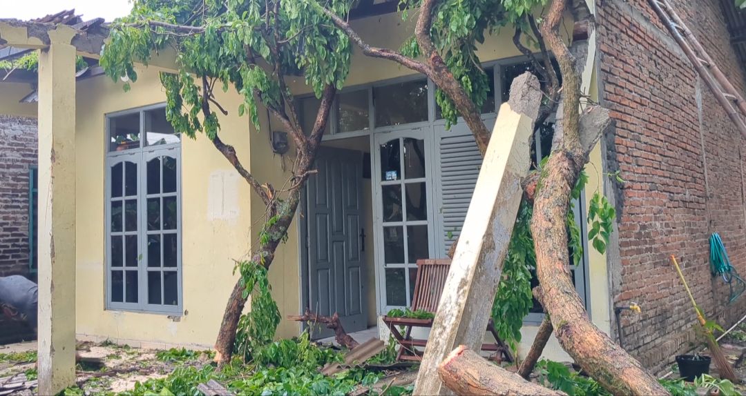 Pohon berusia tua tumbang menimpa rumah warga di Desa Nglambangan, Kecamatan Wungu, Kabupaten Madiun, Jumat (17/10). DIAN RAHAYU/RADAR MADIUN