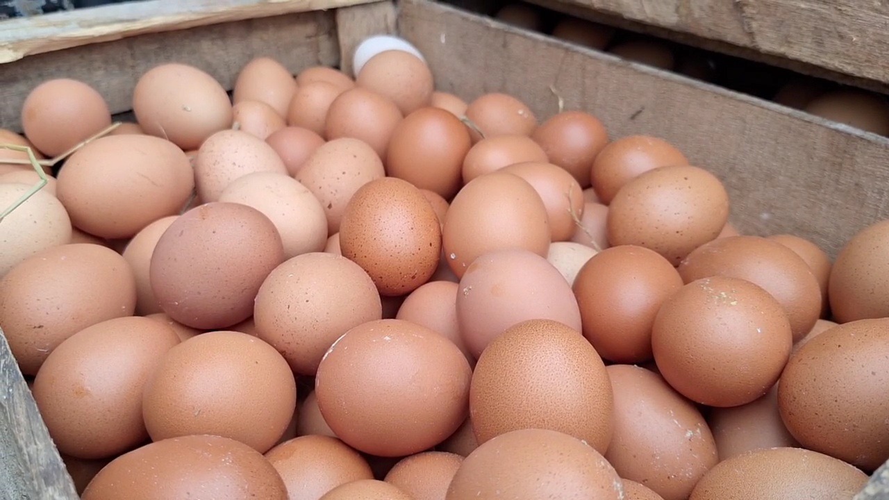 Harga telur ayam ras di pasar tradisional Kabupaten Madiun menembus Rp 30 ribu per kilogram, dipicu tingginya permintaan Nataru dan kebutuhan dapur SPPG. Dokumen/Radar Madiun