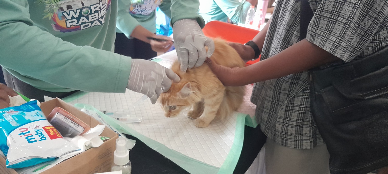 Ratusan anjing, kucing, dan seekor kera mendapat vaksin rabies gratis dalam kegiatan pencegahan di Ngawi, Selasa (22/10). ASEP SYAEFUL BACHRI/RADAR NGAWI