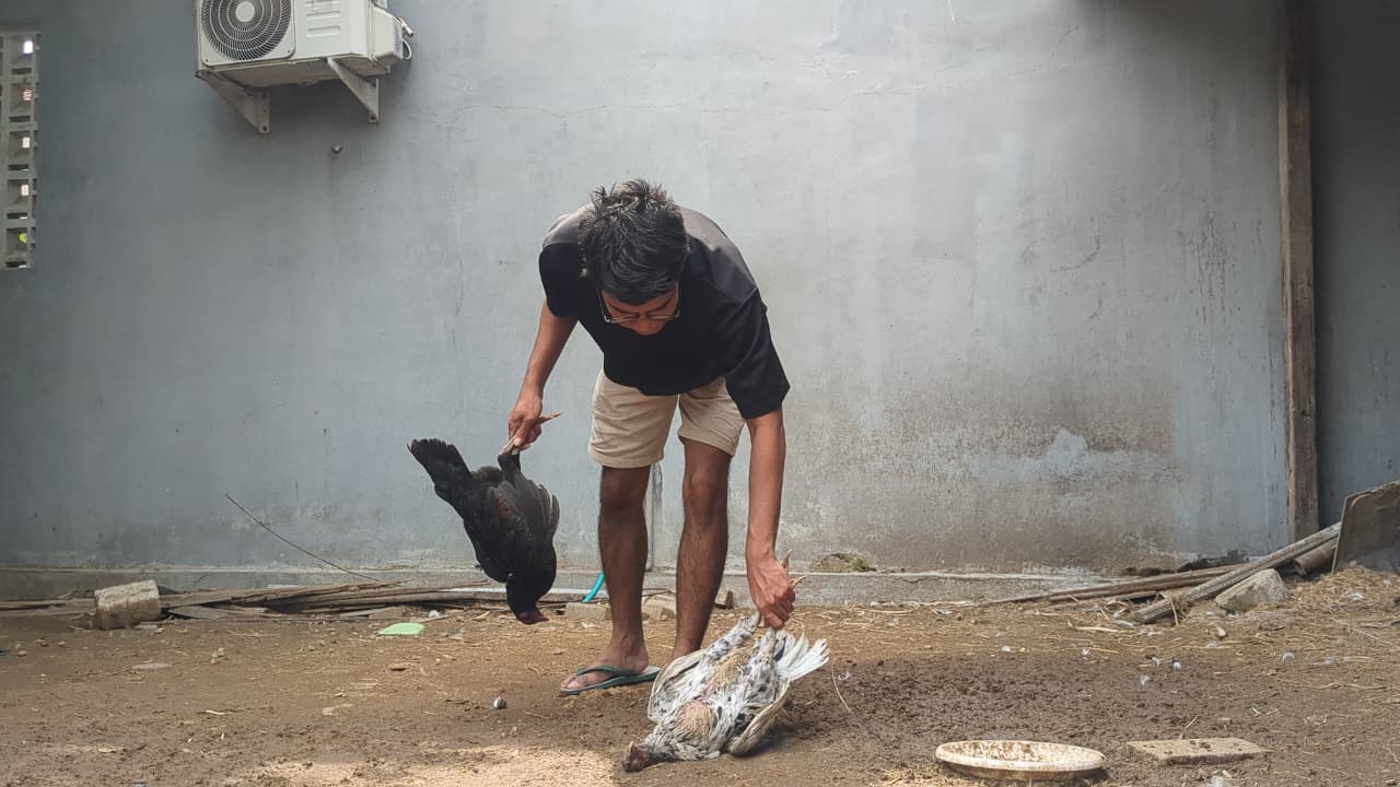 Warga membakar bangkai ayam yang mati mendadak di Desa Bantengan, Wungu, Jumat (24/10). Dinas peternakan menelusuri dugaan penyakit unggas. DIAN RAHAYU/RADAR MADIUN