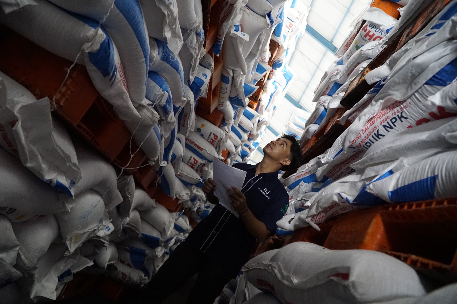 ILUSTRASI PUPUK: Alokasi pupuk subsidi Pacitan 2026 meningkat menjadi 30.848 ton untuk mendukung produktivitas dan ketahanan pangan daerah.