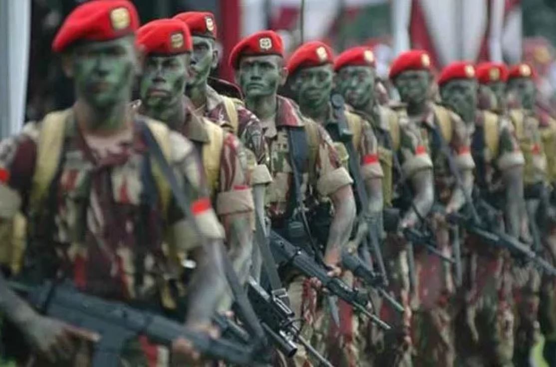 Ilustrasi TNI.