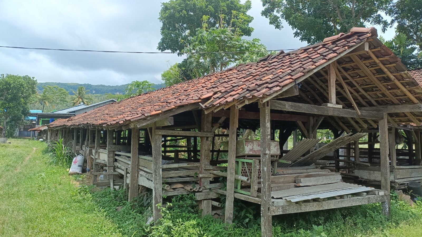 Hasil uji laboratorium menunjukkan tanah di beberapa titik di Pacitan positif antraks. Pemerintah lakukan karantina lokasi dan vaksinasi ternak. NUR CAHYONO/RADAR PACITAN