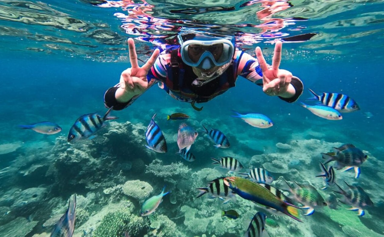 Snorkeling jadi salah satu aktivitas seru saat berlibur di Karimunjawa.