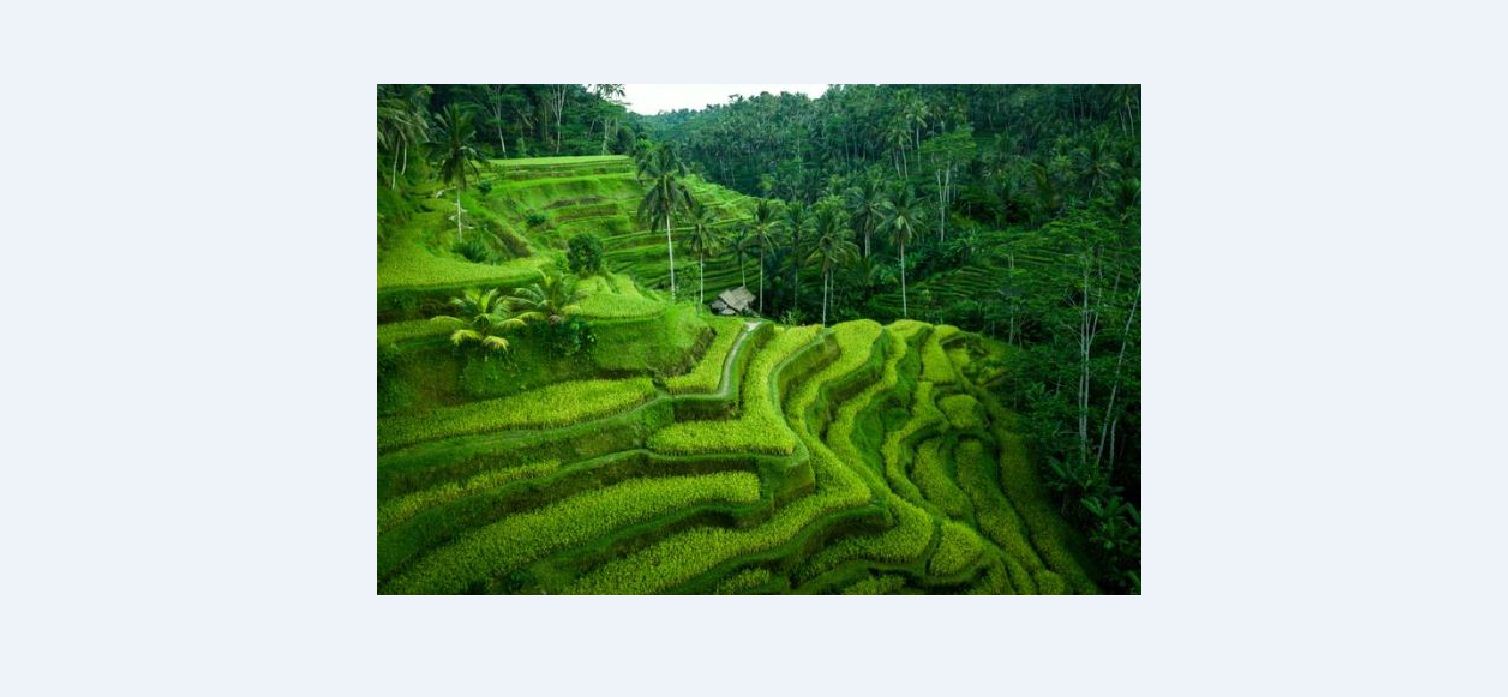 Salah satu destinasi wisata terbaik di Indonesia untuk akhir tahun.