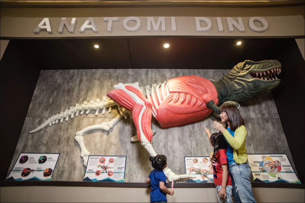 Wisata futuristik penuh sensasi! Jelajahi Jatim Park 3 dengan Dino Park, The Legend Star Park, dan Infinity World yang super instagramable.
