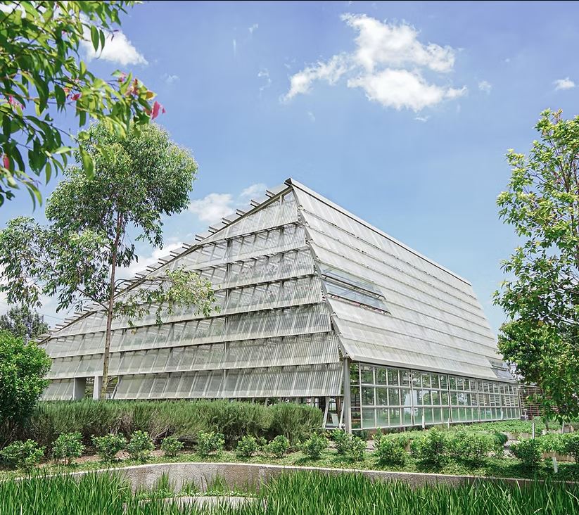 Ayo belajar aromaterapi sambil menikmati taman bunga estetik, spot foto Instagramable yang menenangkan dan berkesan di Rumah Atsiri Indonesia.