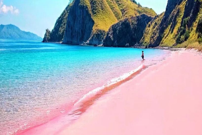 Pantai Pink Lombok dengan pesonanya yang indah.